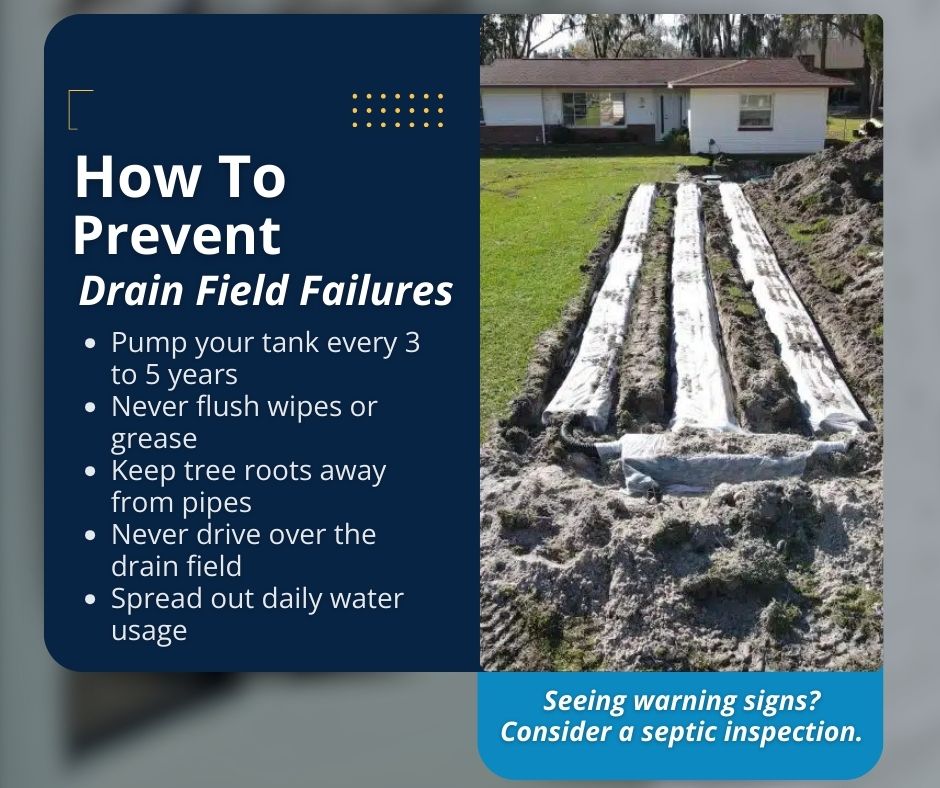 preventing drain field trouble