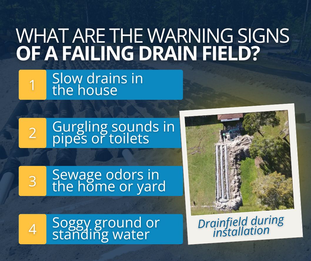 signs of drain field trouble